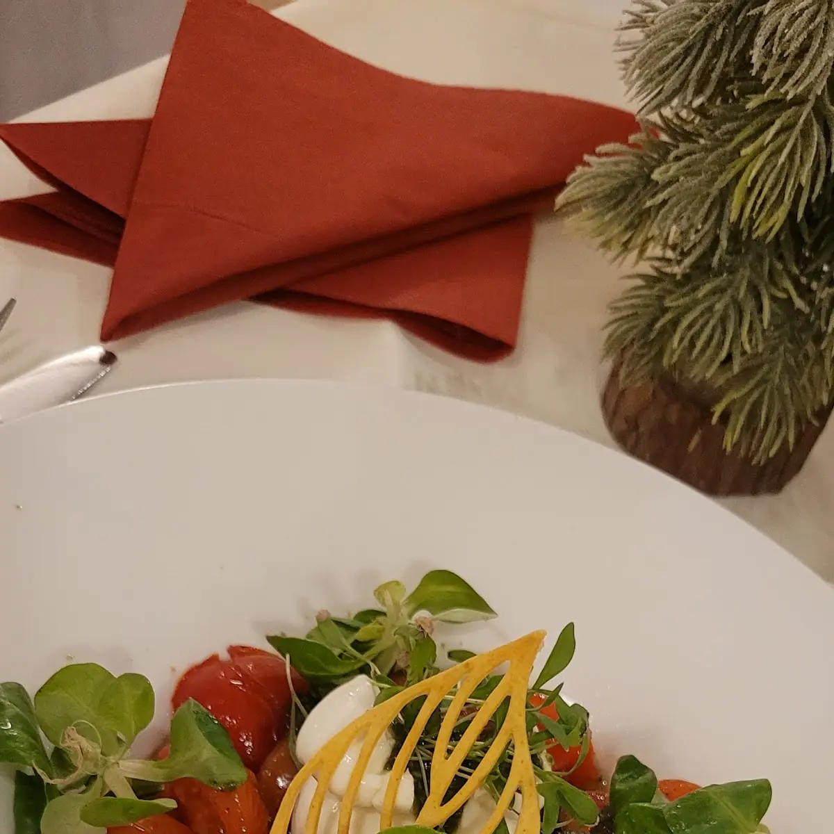 Muzarela Phot Tomatoes Pesto Salad