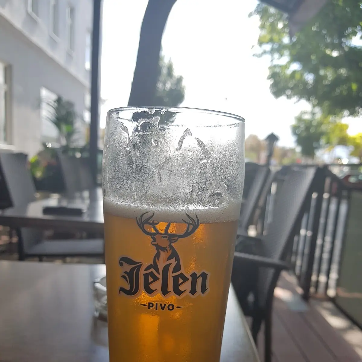 Jelen Bier 0 33l