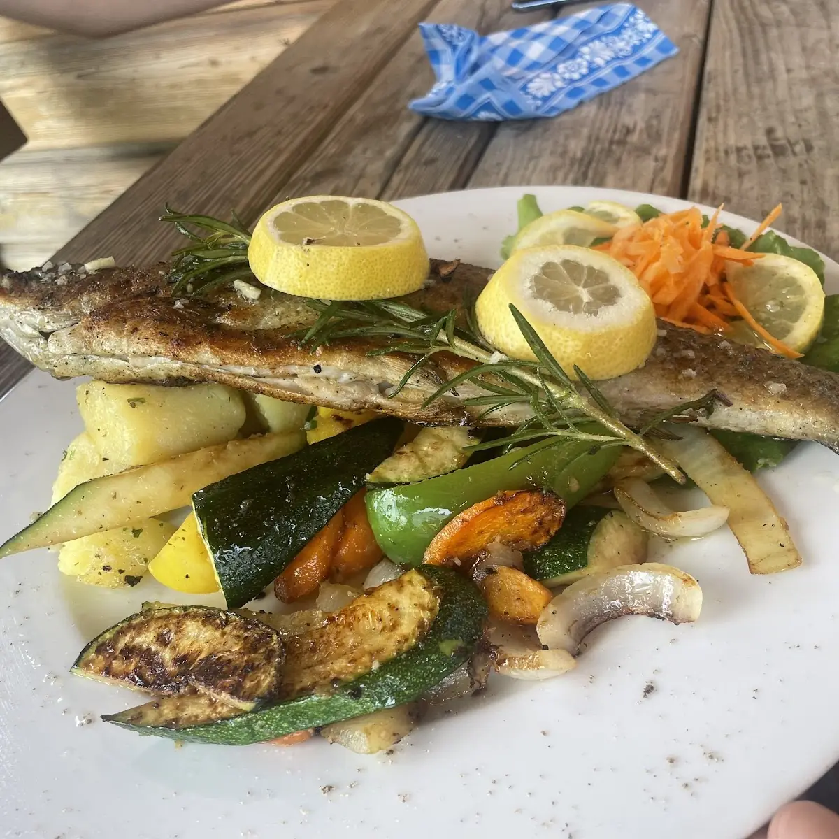 Fish