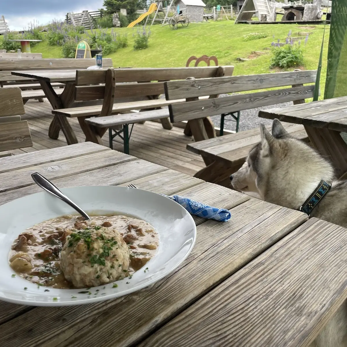 Mushroom Goulash