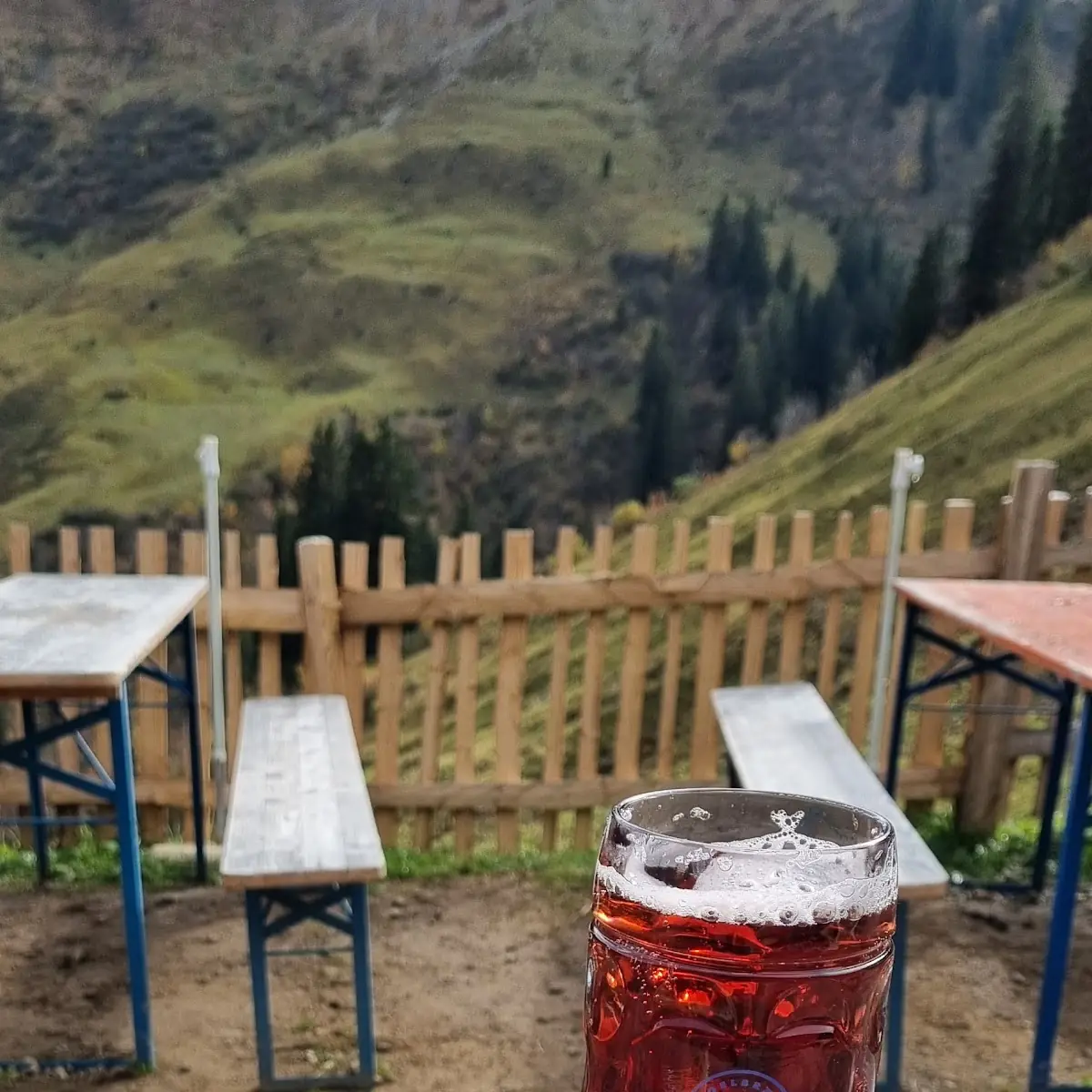 Käsekuchen Und Johannisbeerschorle