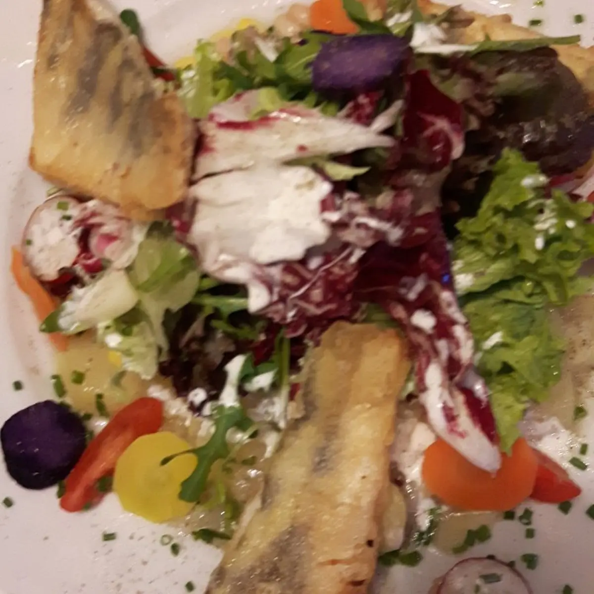 Salat