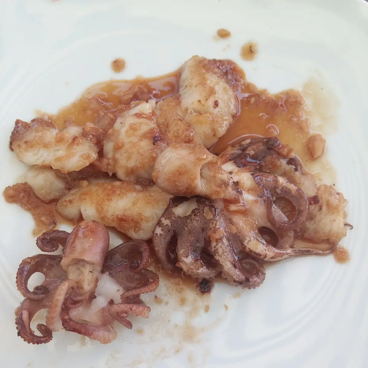 Hai Mit Tintenfisch