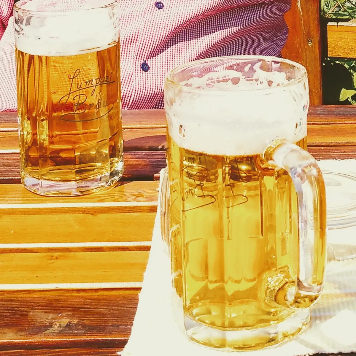 Zwickel