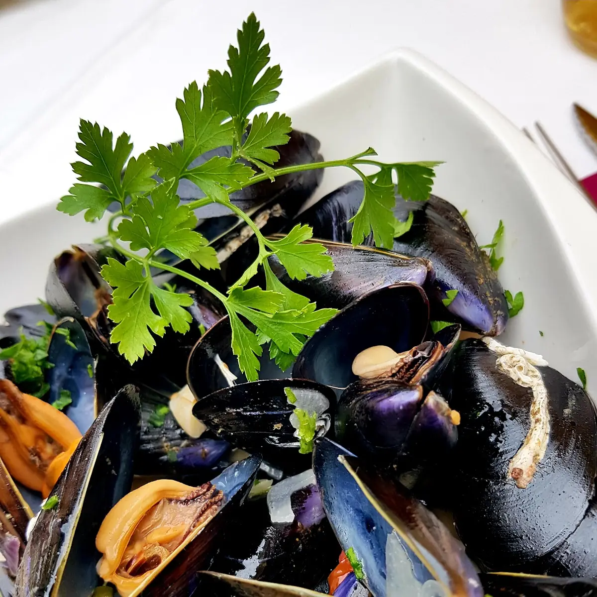 Cozze