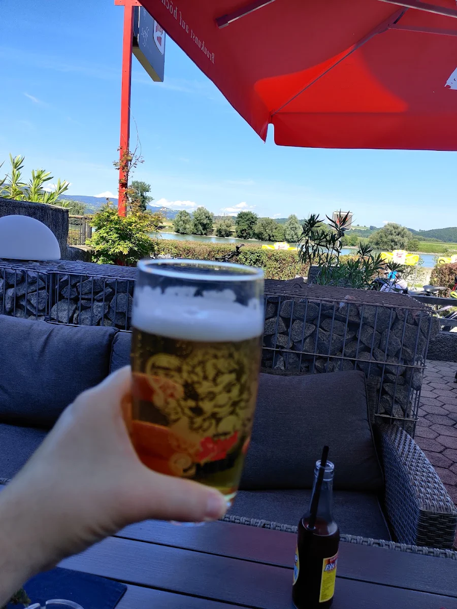 Bier