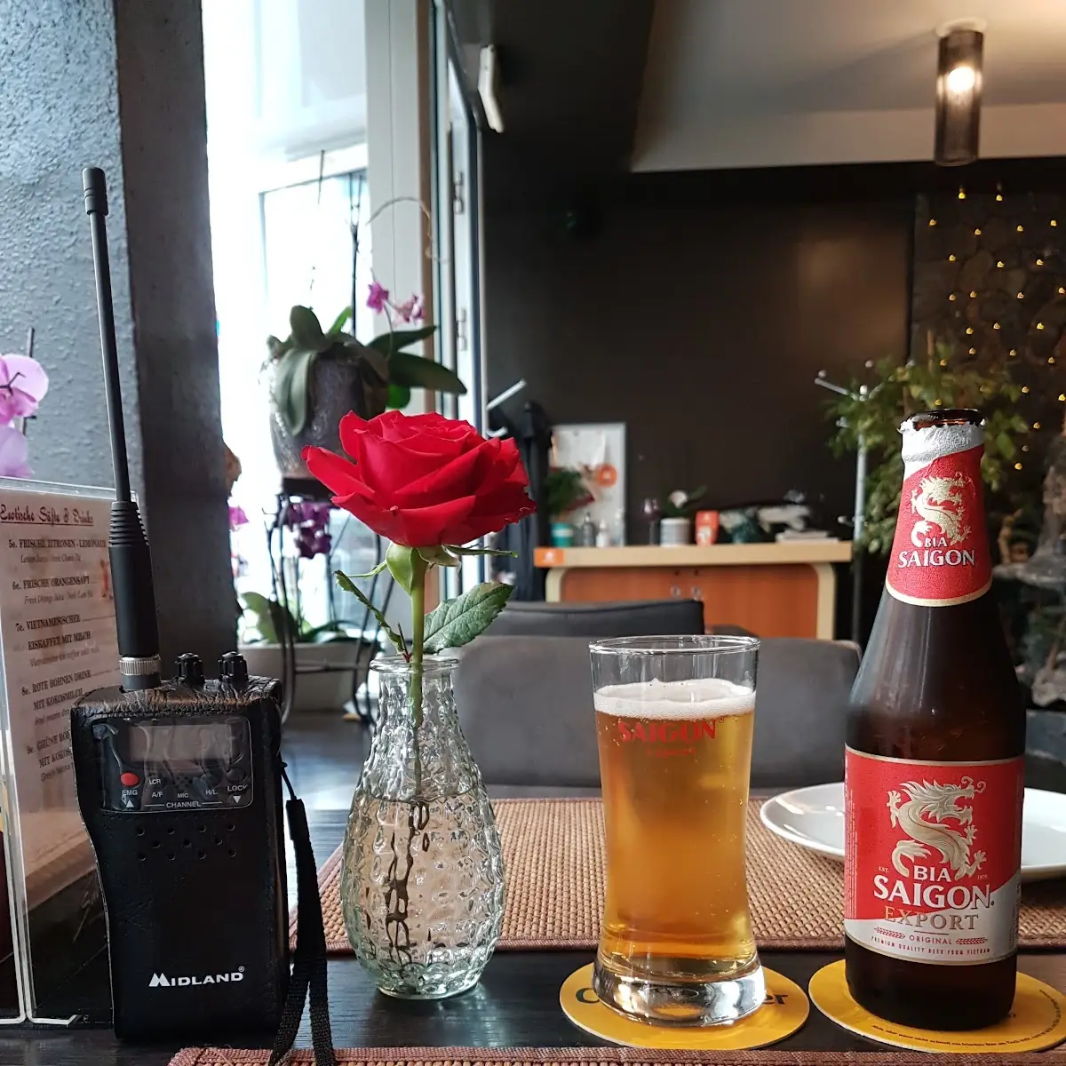 Bier