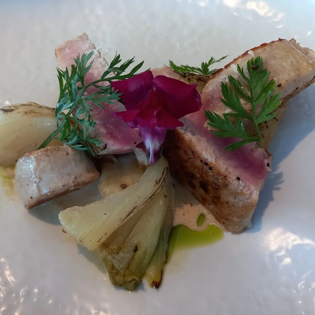 Thunfisch Mit Fenchelgemüse