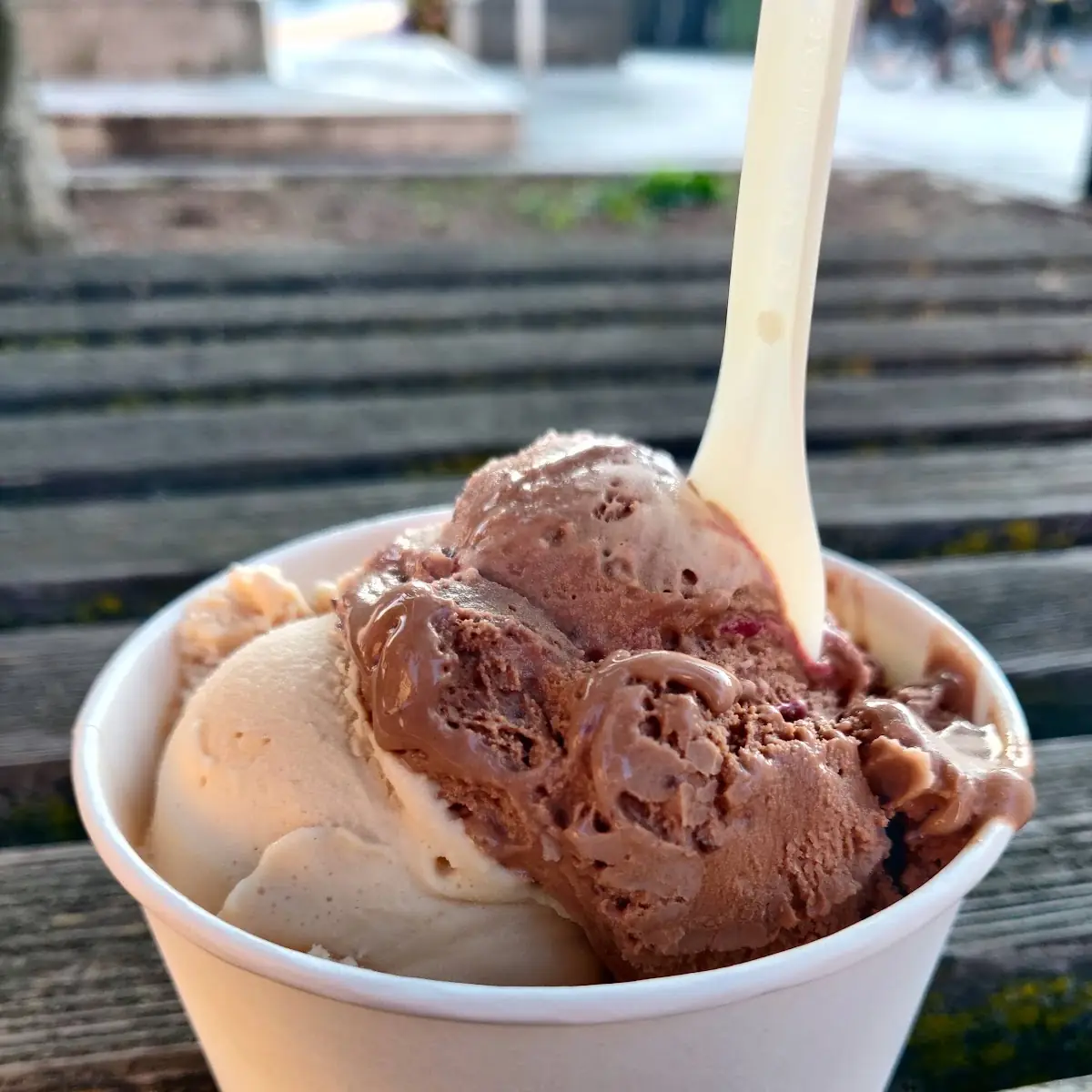 Haselnuss Und Schoko-kirsch