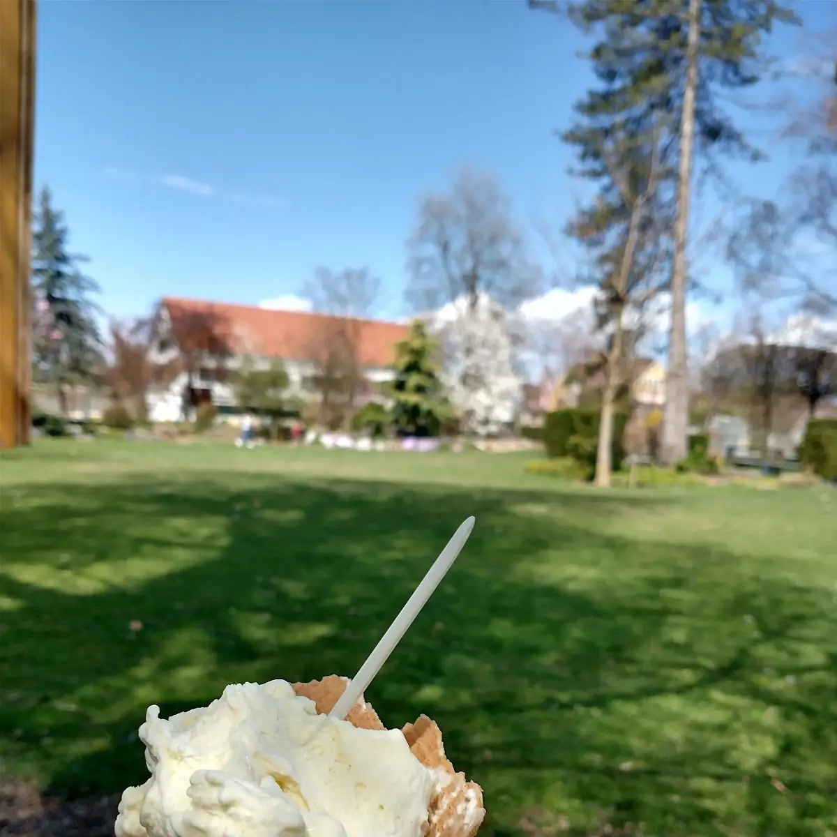Vanilleeis