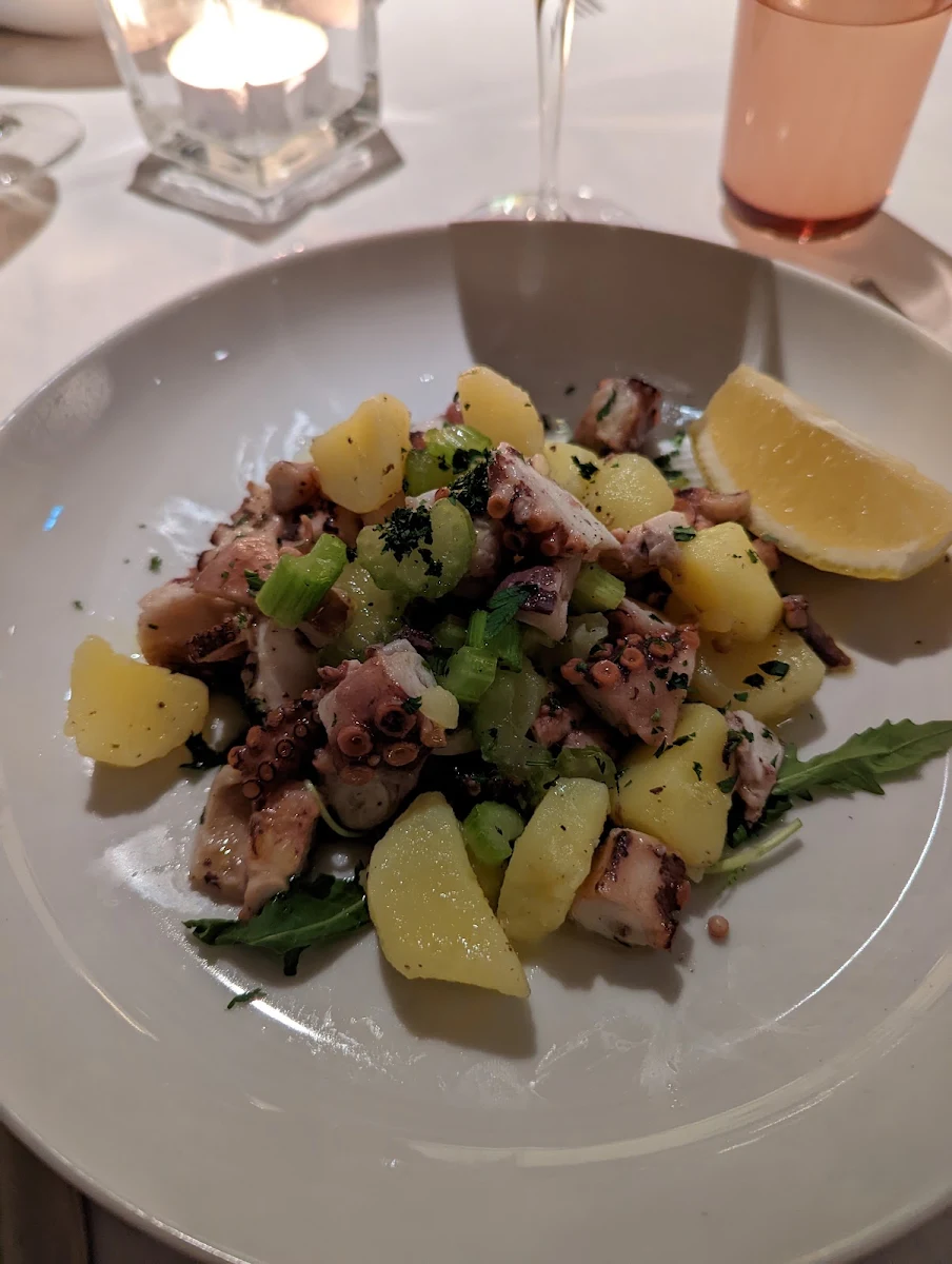 Octopus Salad