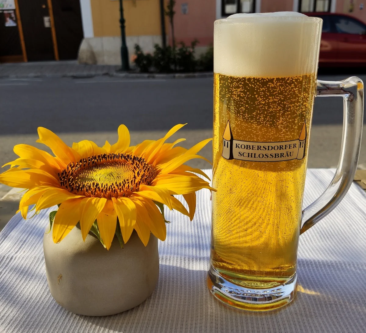 Bier