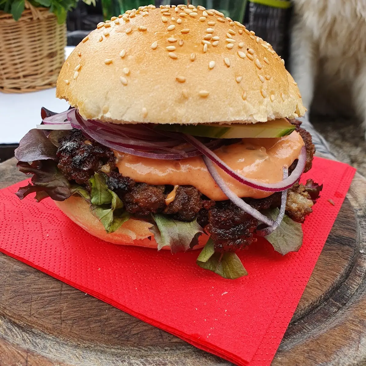 Hamburger Und Hollersaft