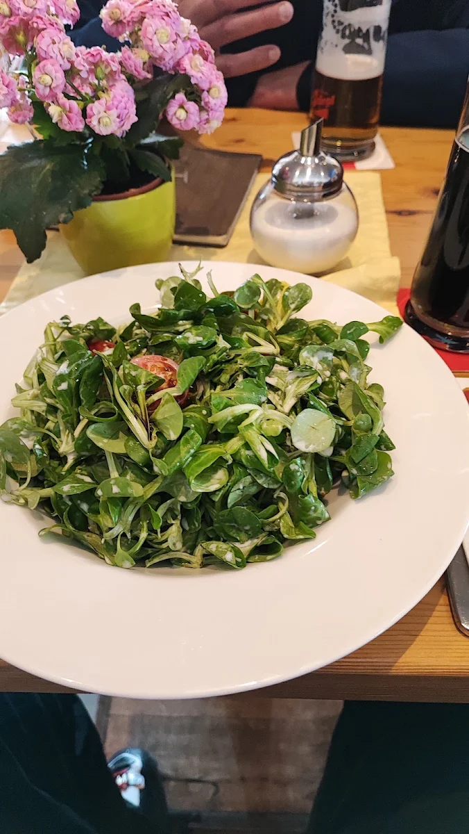 Vogerlsalat