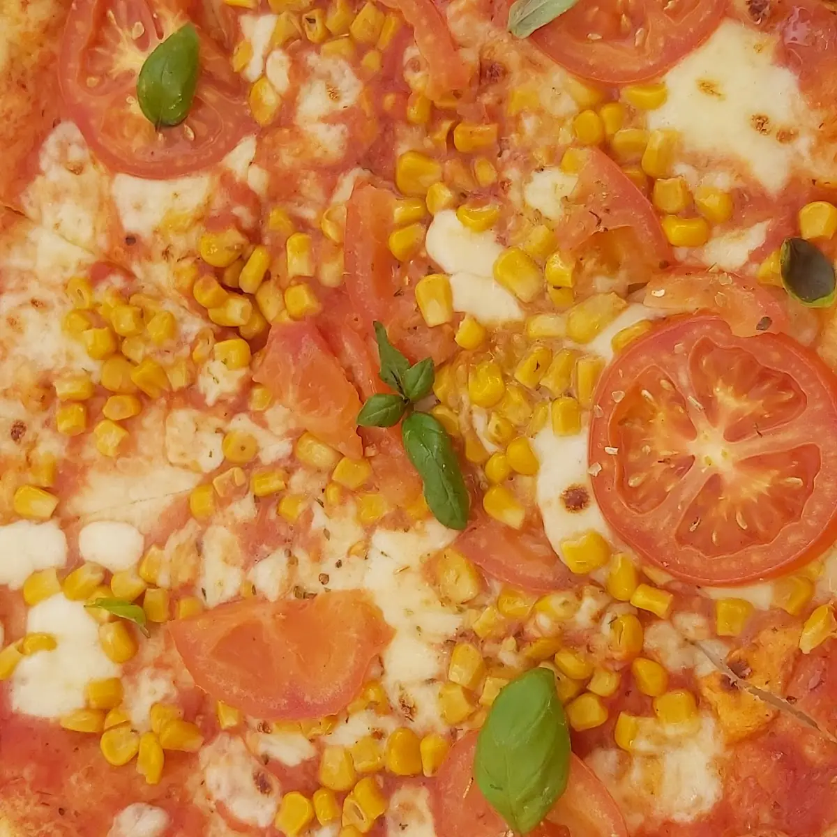 Pizza Margherita