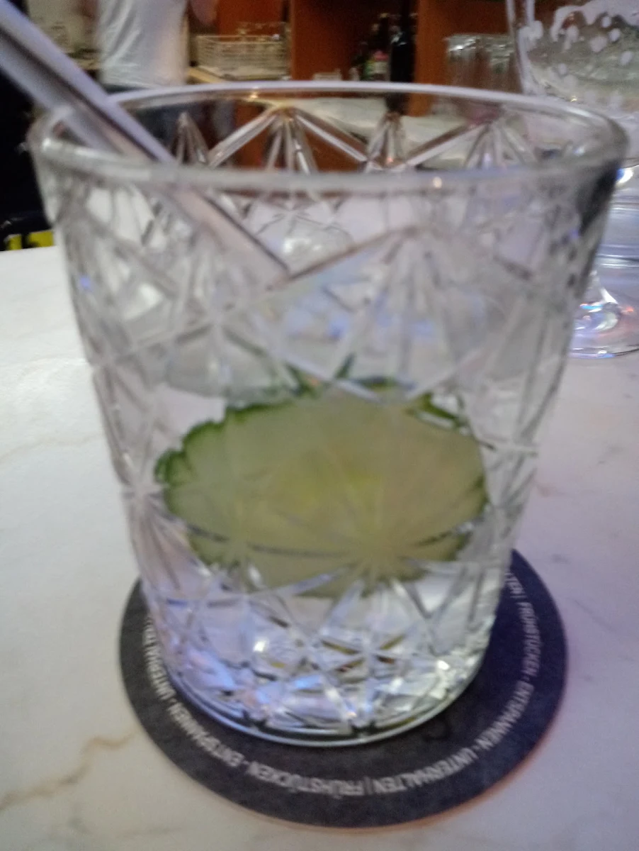 Cucumber Gin Tonic
