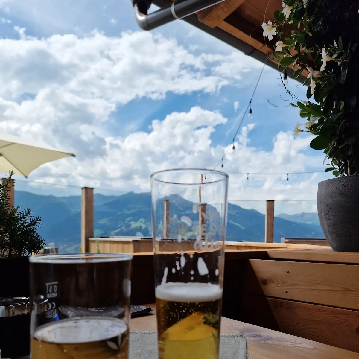 Bier