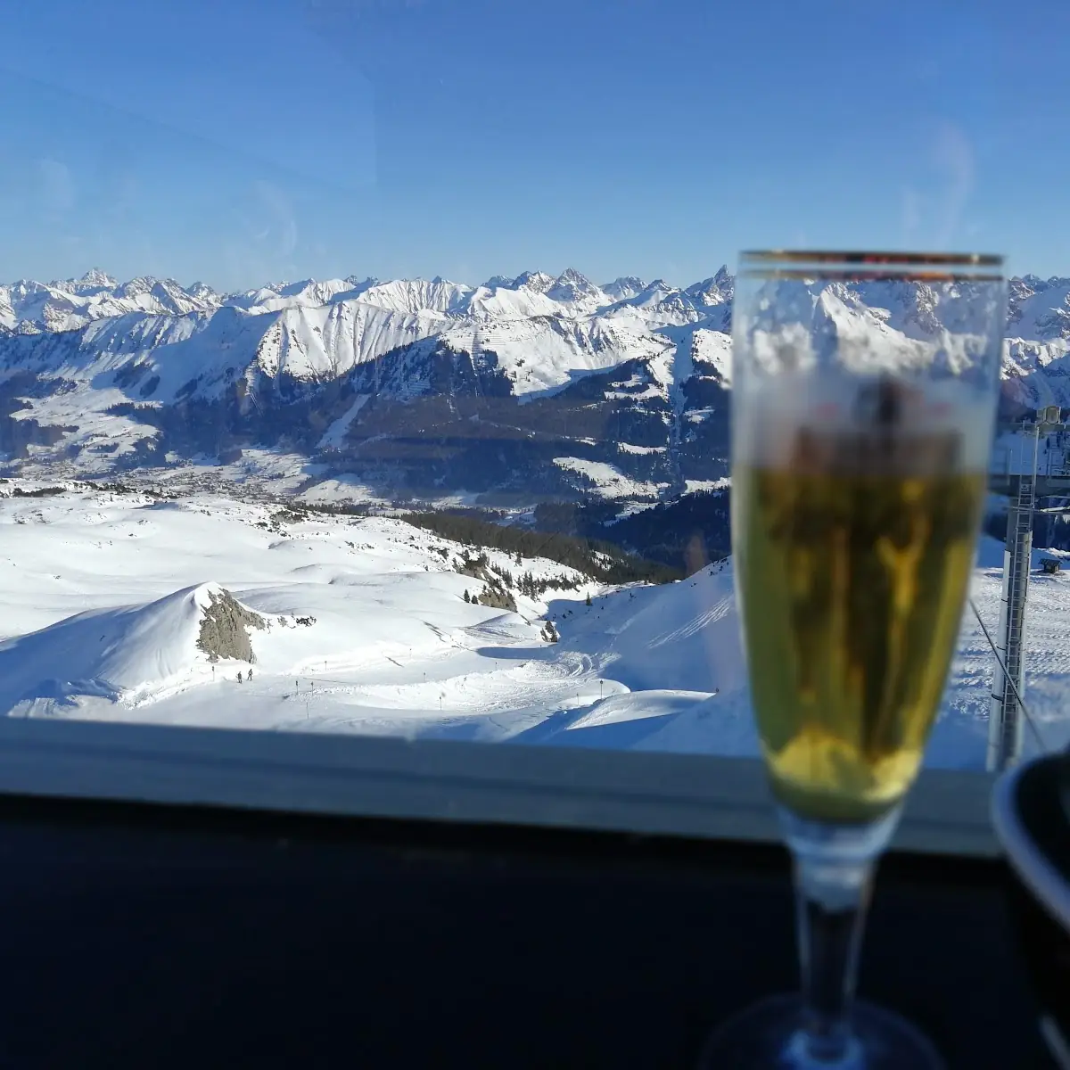 Bier