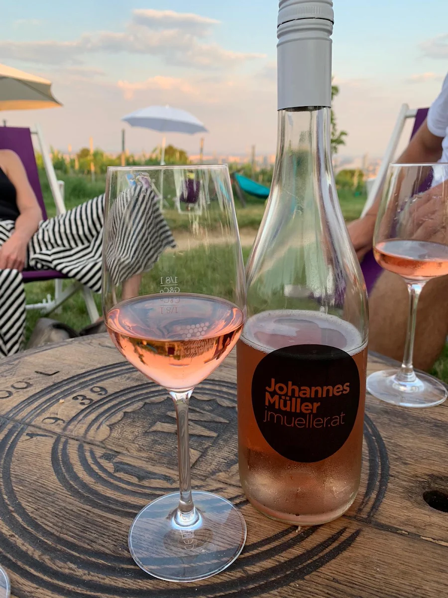 Frizzante Rose Von J Müller