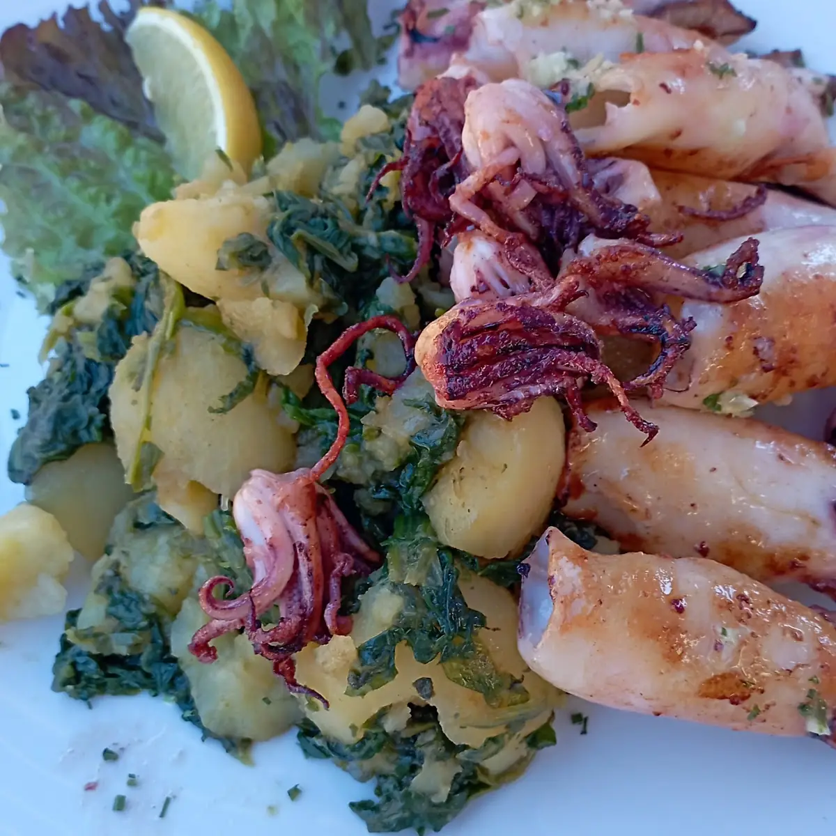Calamari Gegrillt