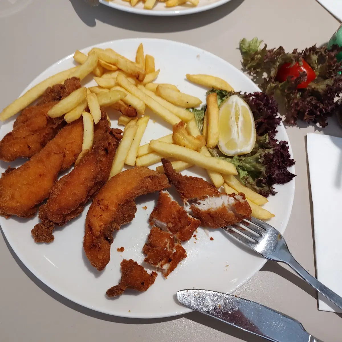 Chicken Tenders and Fries