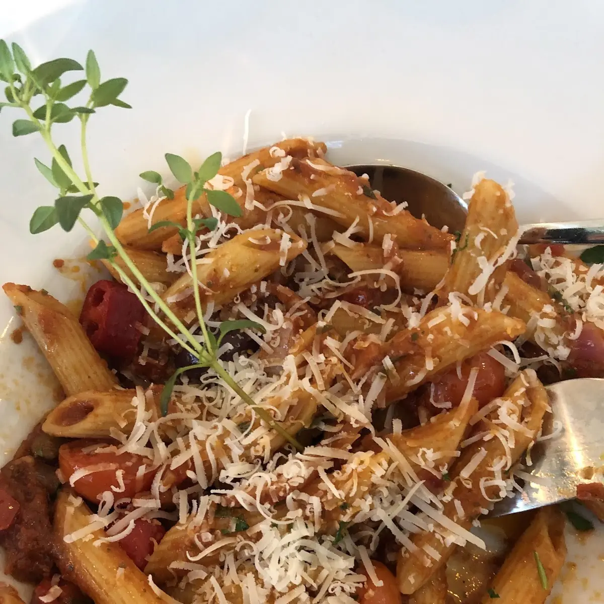 Penne Amatriciana