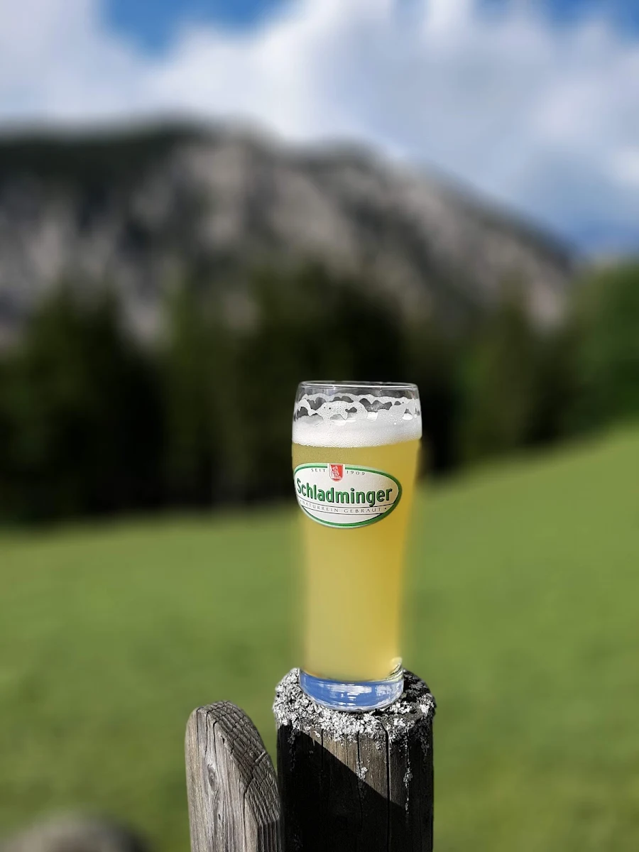 Bier
