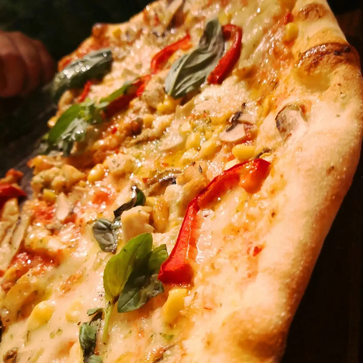 Pizza Pollo