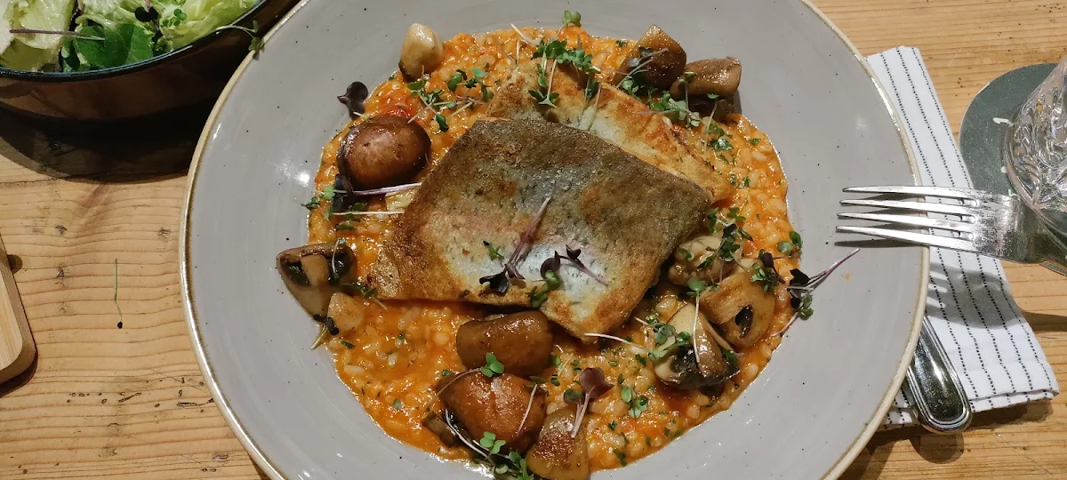 Lachsforelle Auf Risotto