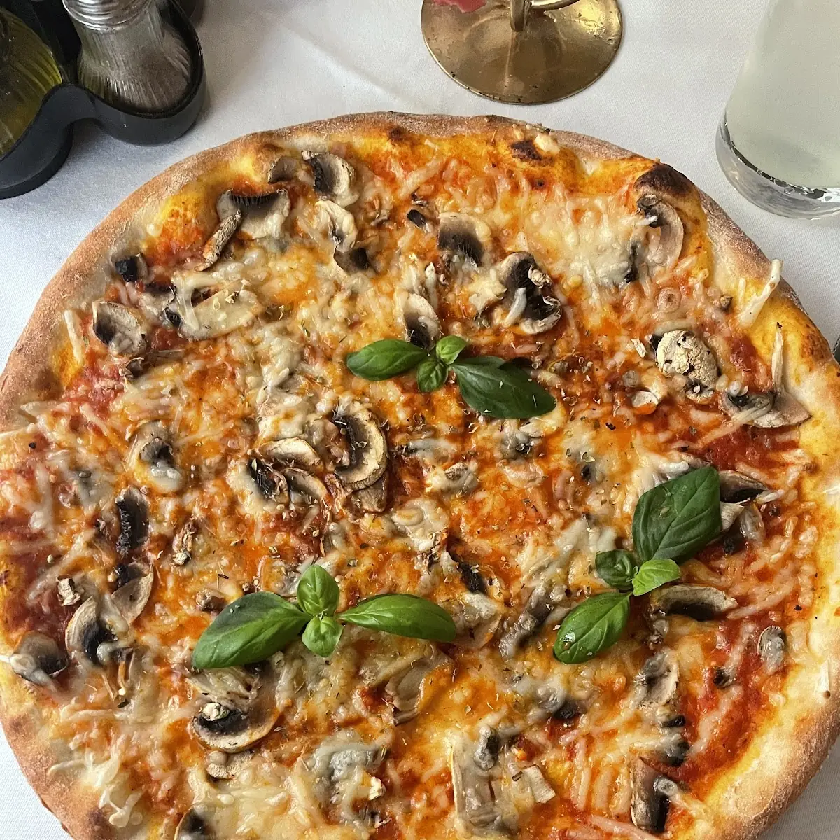 Pizza Funghi