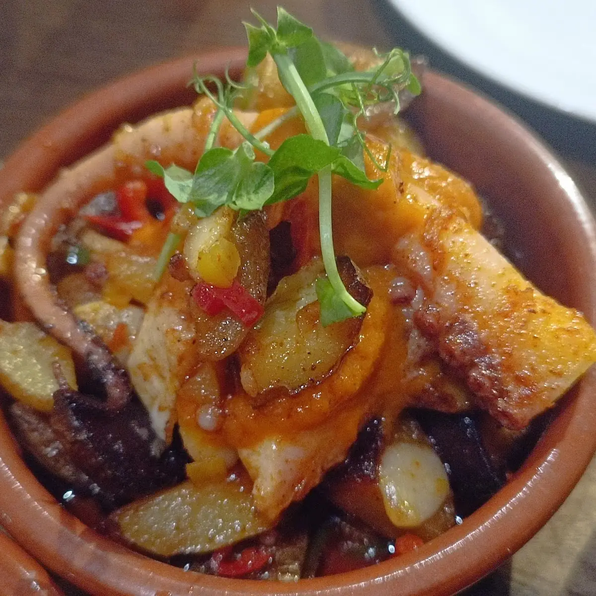 Octopus