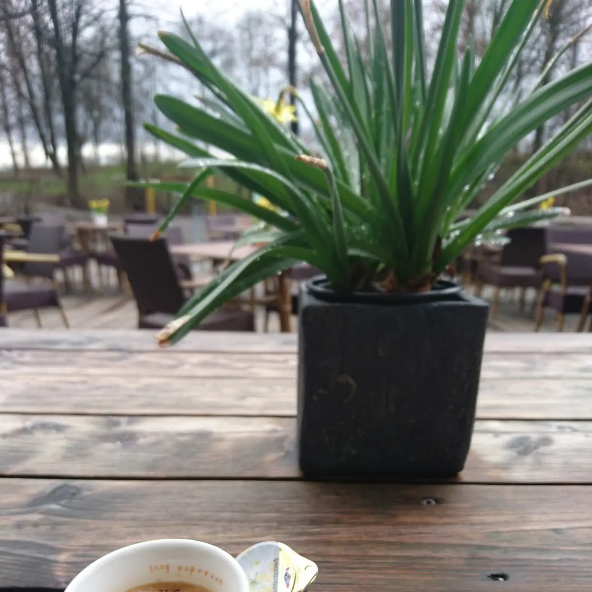 Kaffee