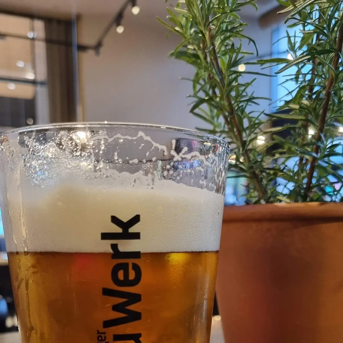 Bier