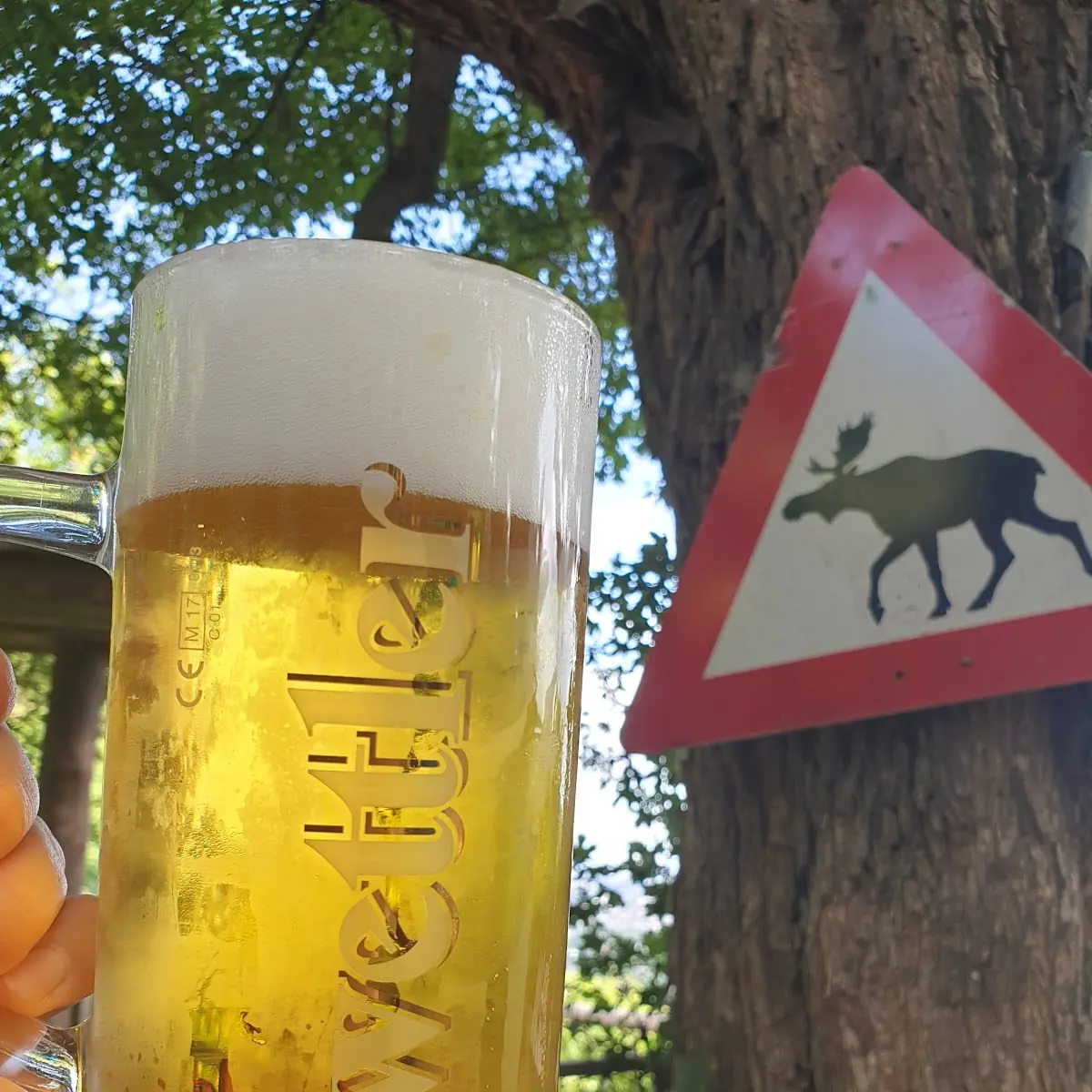 Bier