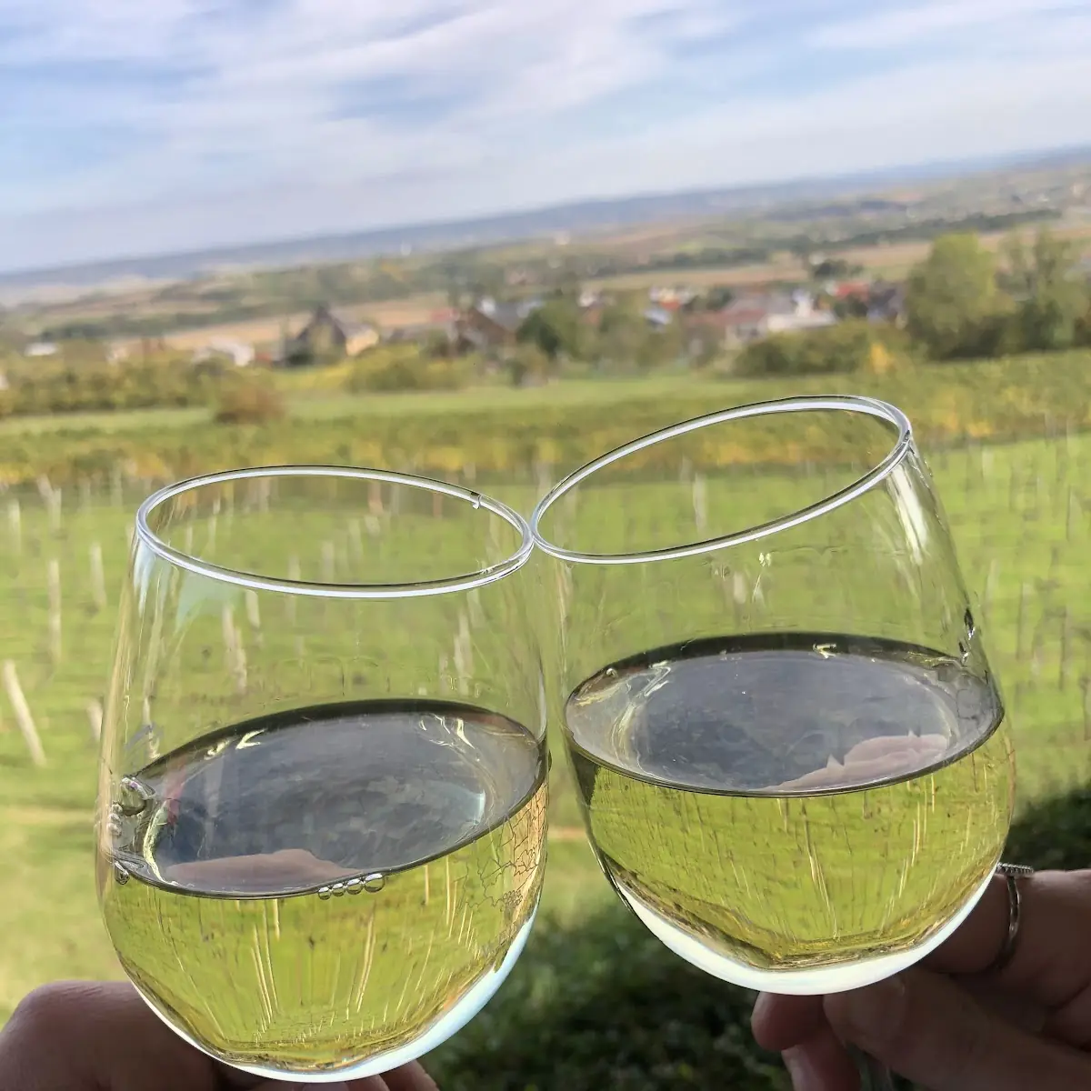 Grüner Veltliner Lieblich