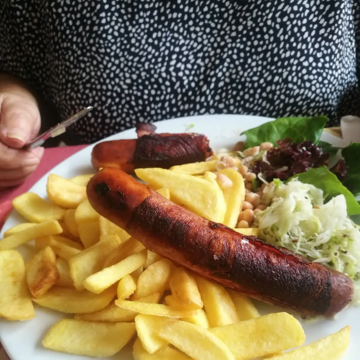 Berner Mit Pommes Und Salat