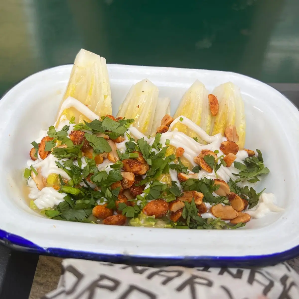 Salad Wedges V