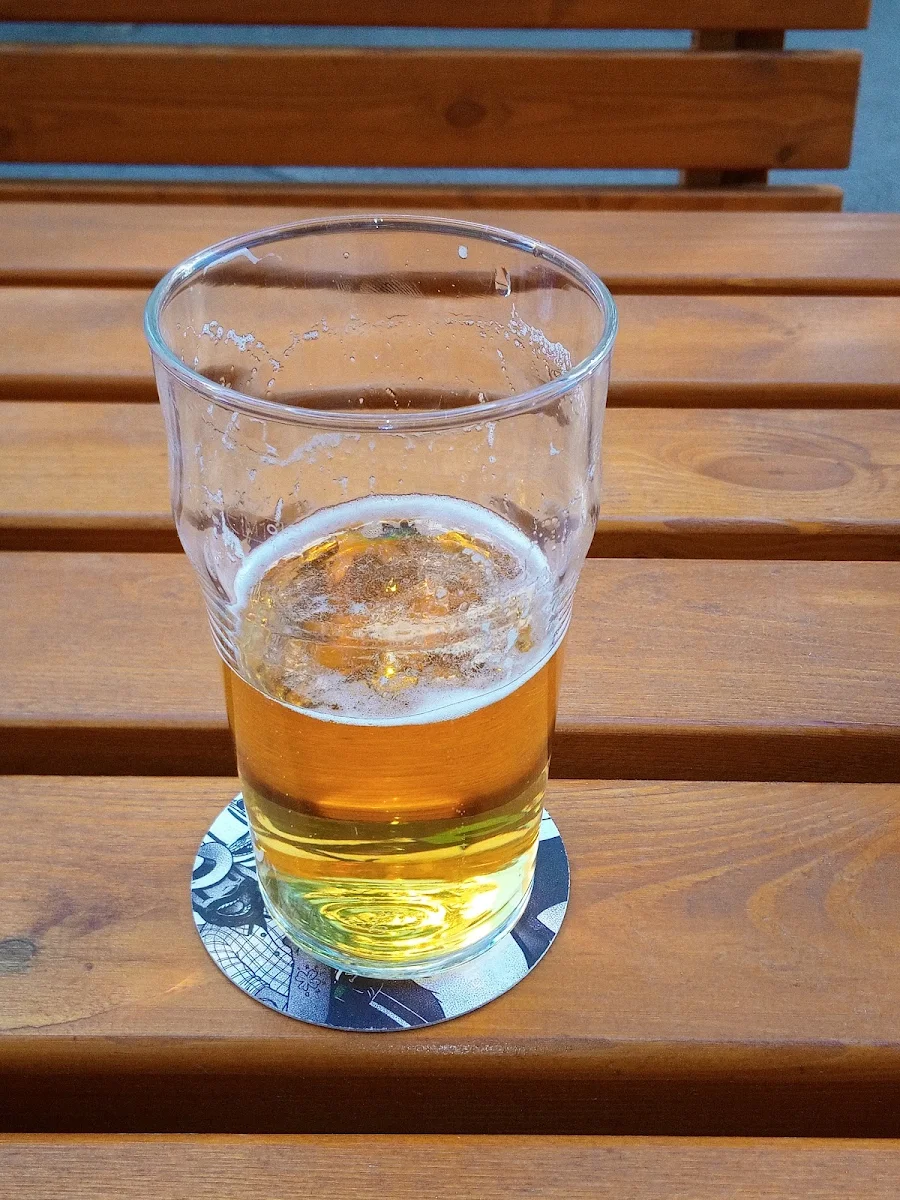 Bier