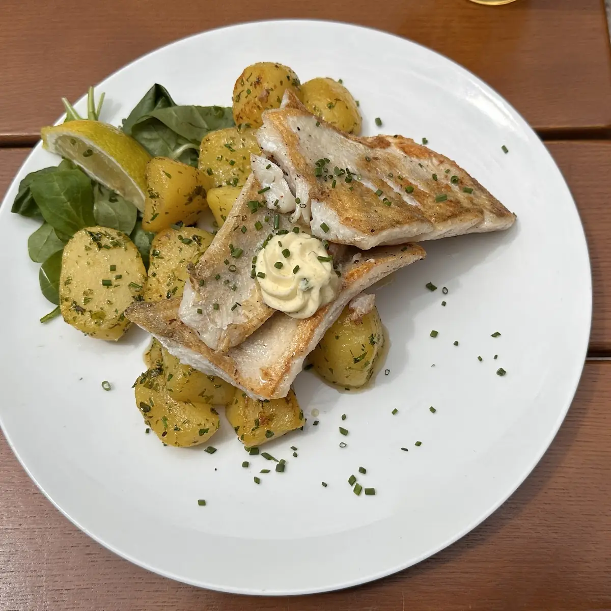 Zanderfilet