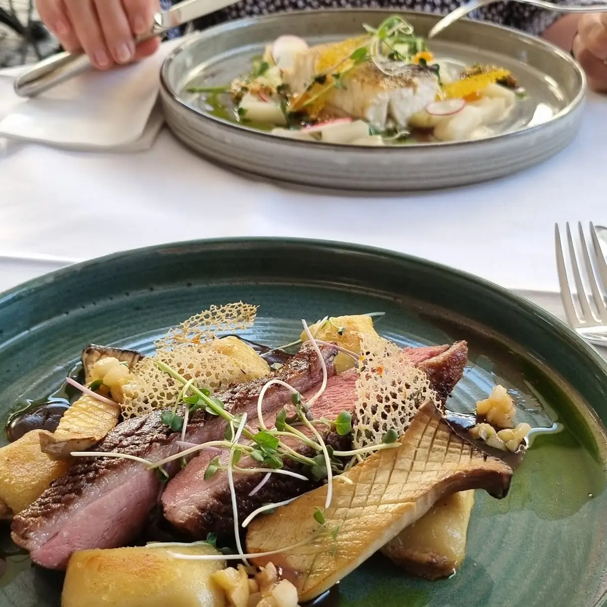 Ente Mit Gemüse