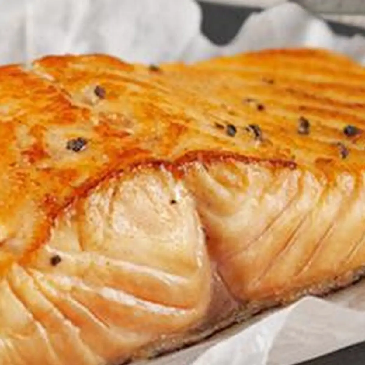 Salmon