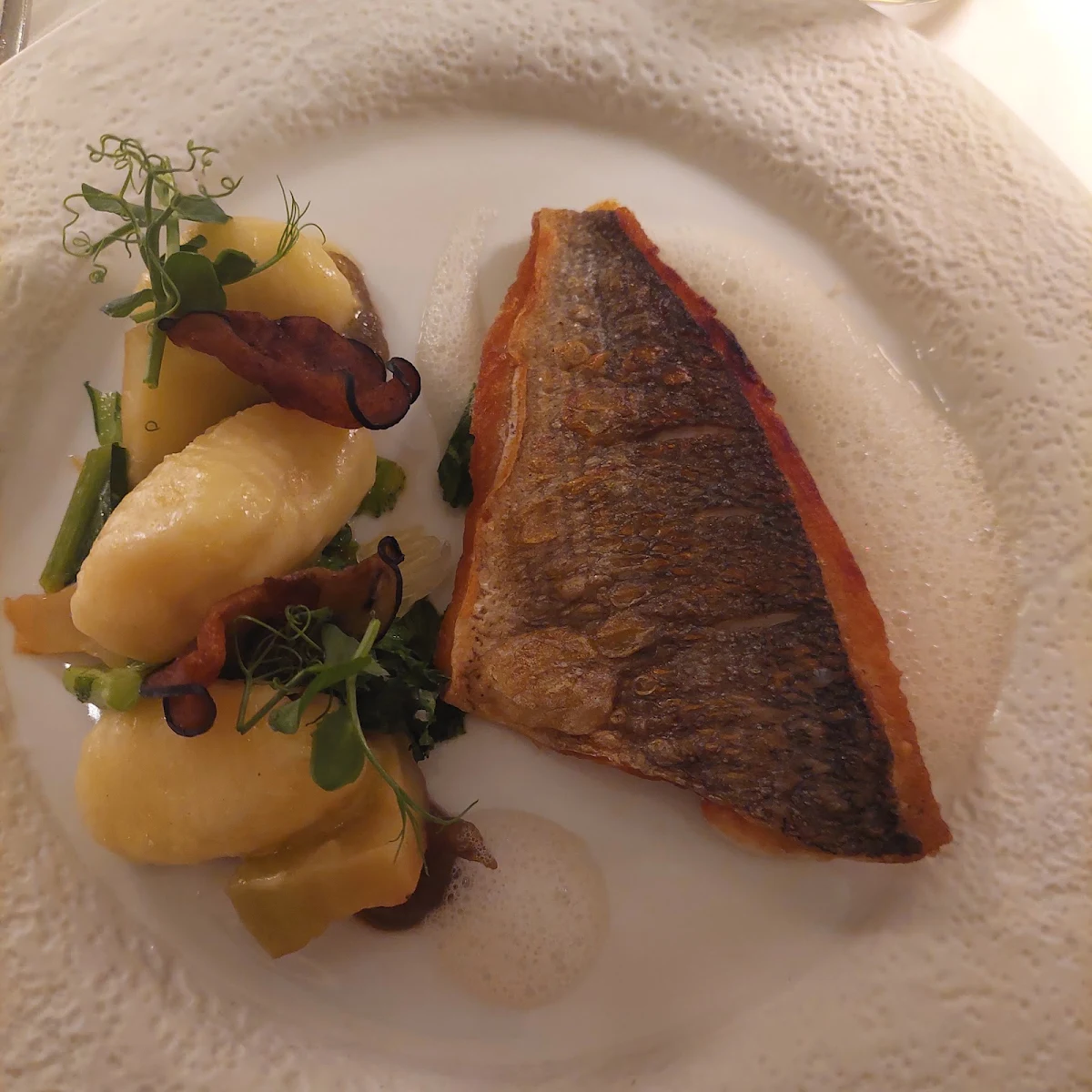 Dorade Mit Gnochi