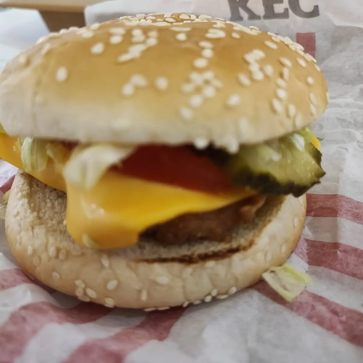 Chickenburger