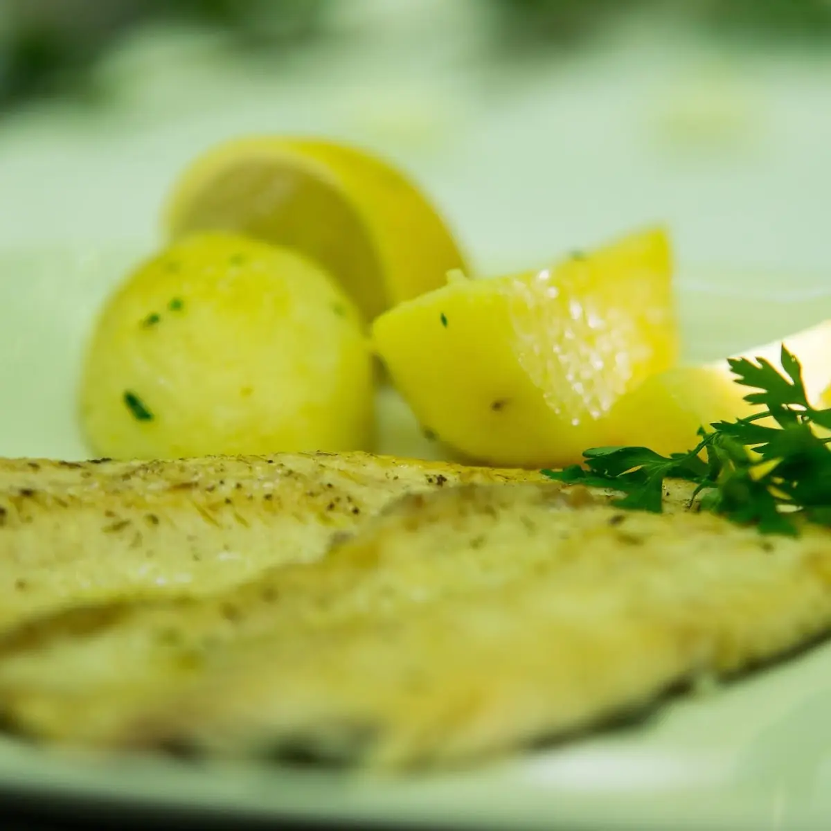 Zanderfilet