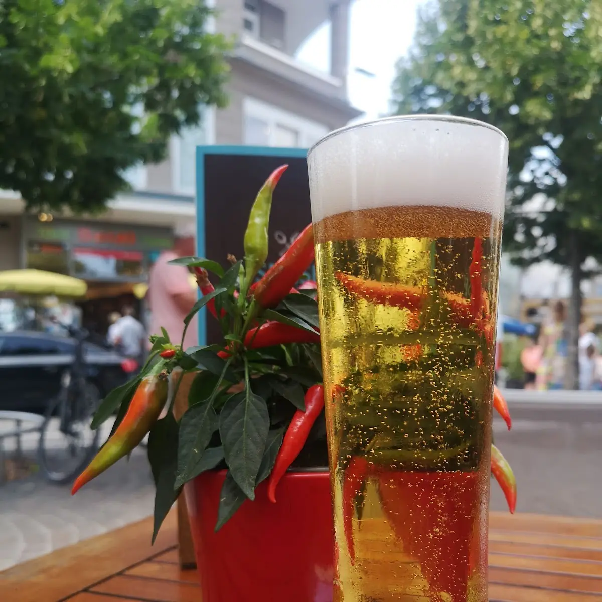 Bier