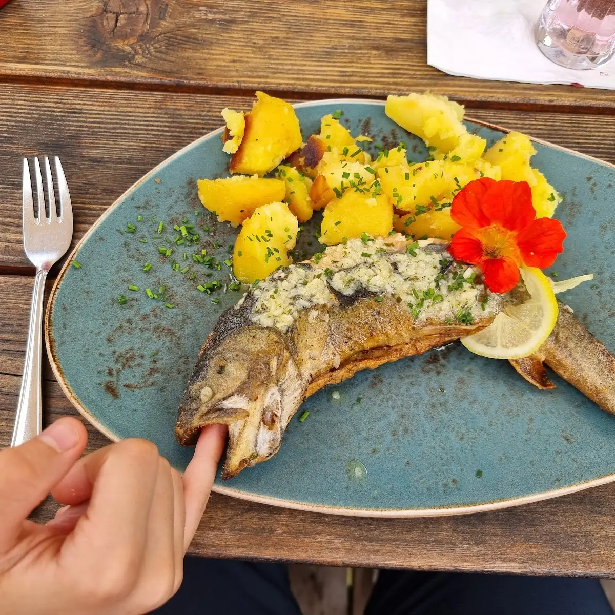 Fangfrische Forelle Gebraten