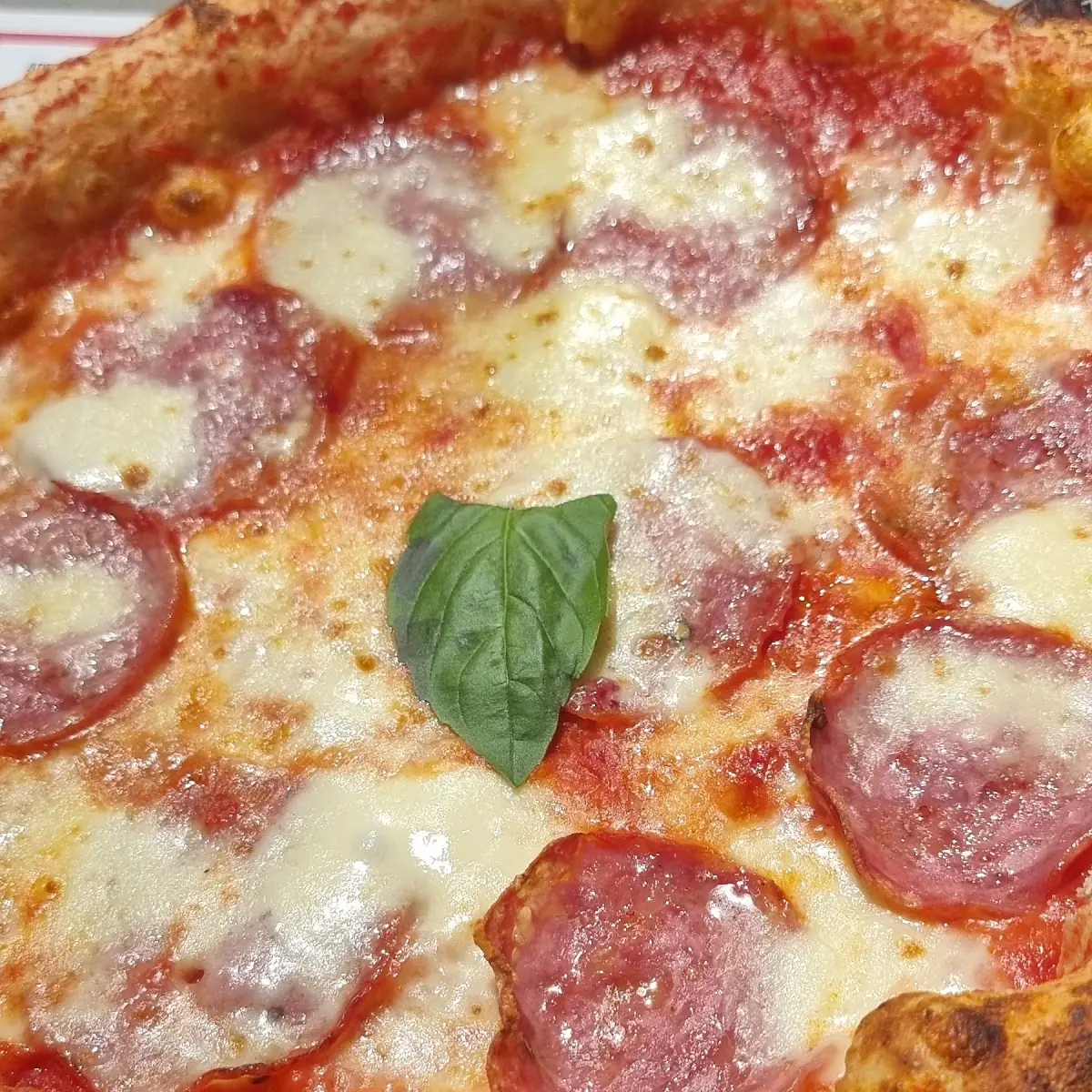 Pizza Salamino