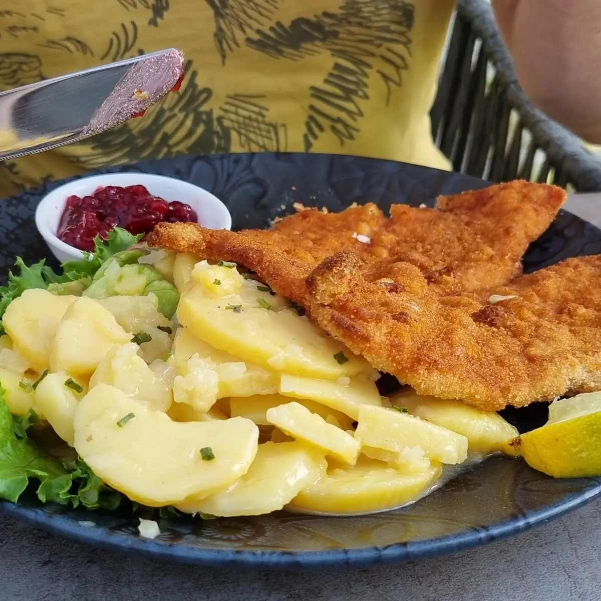 Kinder-wiener Schnitzel Vom Schwein Mit Pommes