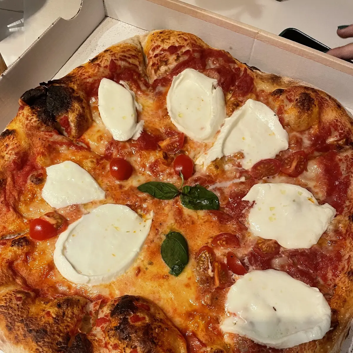 Pizza Quattro Formaggi
