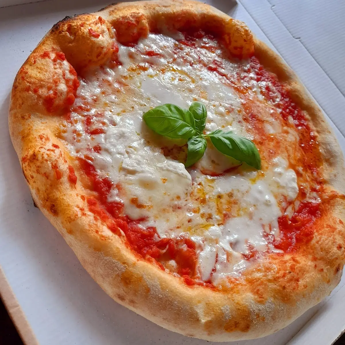 Pizza Margherita
